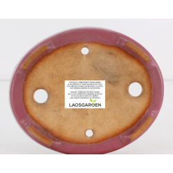 Maceta bonsái JTA8764 SYOZAN vista 3