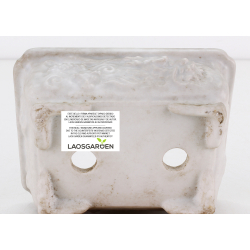 Bonsai pot JTA8760 TEIZAN view 3