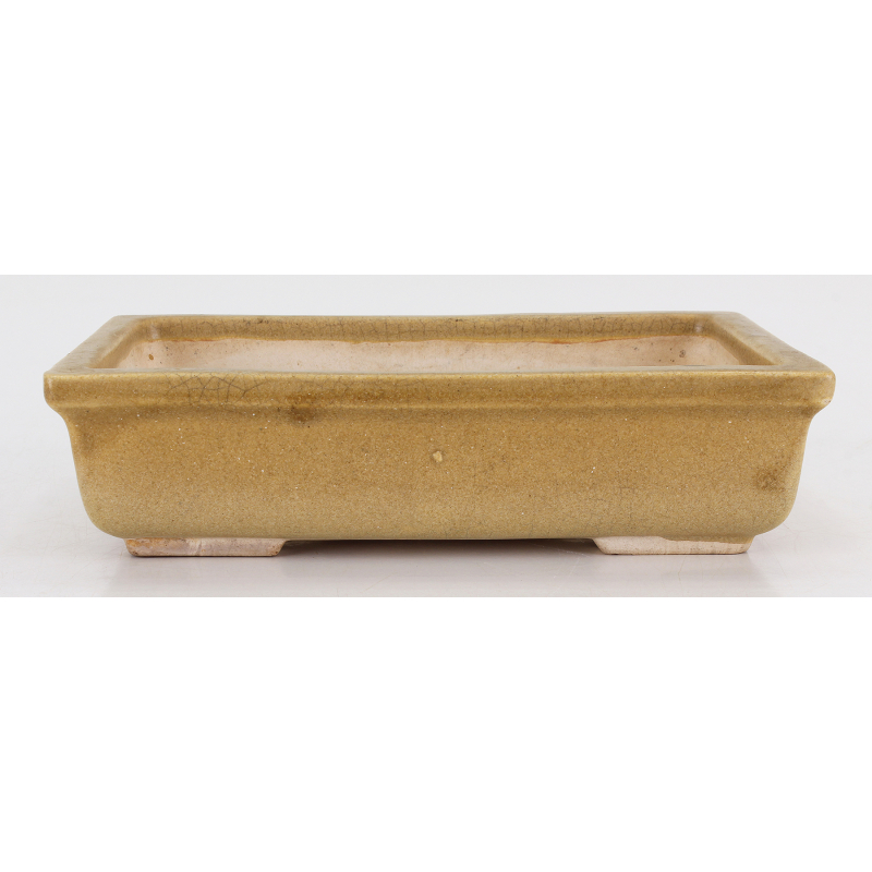 Bonsai pot KOR025 TONGRAE