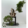 Juniperus sabina -sabina rastrera- A00461
