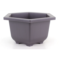 Maceta cultivo para bonsái HPL-15