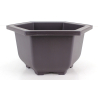 Maceta cultivo para bonsái HPL-20 vista 2
