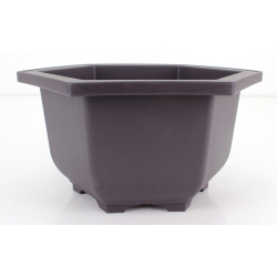 Maceta cultivo para bonsái HPL-25 vista 2