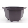 Maceta cultivo para bonsái HPL-25 vista 2