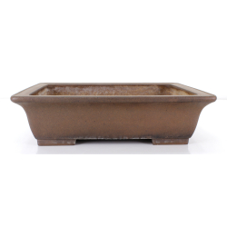 Maceta bonsái JTA8730 YAMAAKI KOSHOUSEN