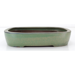 Bonsai pot JTA8738 HOUTOKU