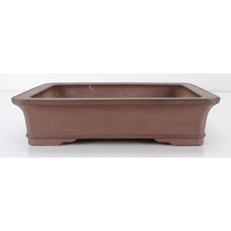 Maceta bonsái JTA8485 KISEN