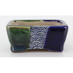 Bonsai pot JTA8804 TERAHATA SATOMI