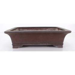 Maceta bonsái JTA8736 YAMAAKI TOSHIO