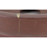 Bonsai pot JTA8735 ICHIYU view 4