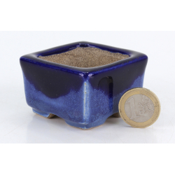 Bonsai pot JTA8786 TERAHATA SATOMI