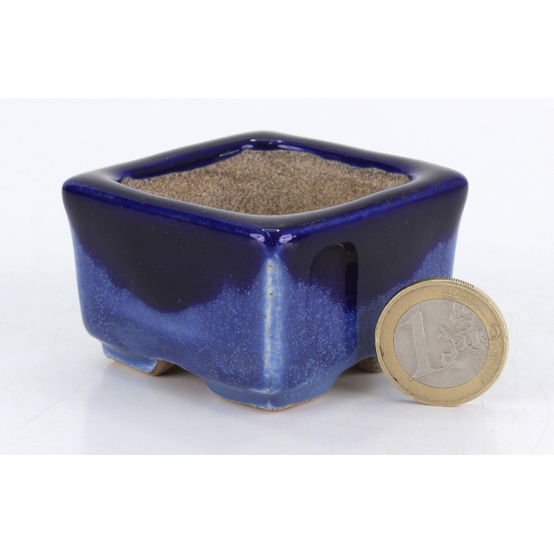 Bonsai pot JTA8786 TERAHATA SATOMI