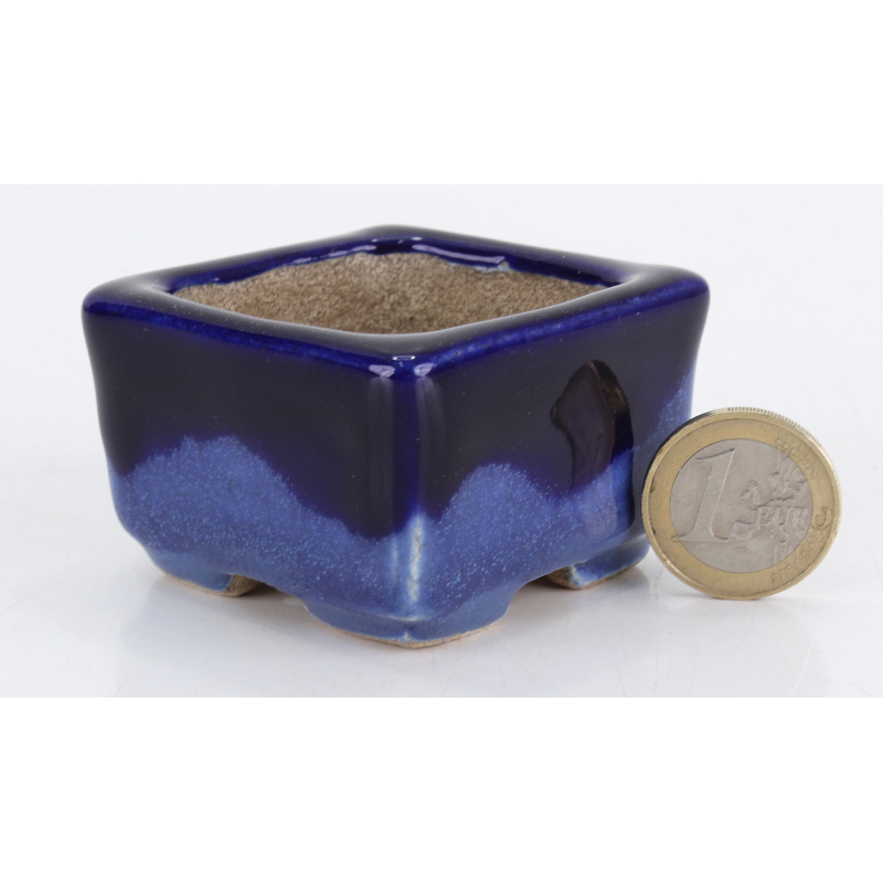 Bonsai pot JTA8784 TERAHATA SATOMI