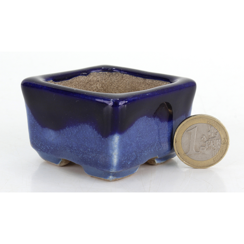 Maceta bonsái JTA8785 TERAHATA SATOMI