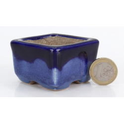 Bonsai pot JTA8783 TERAHATA SATOMI