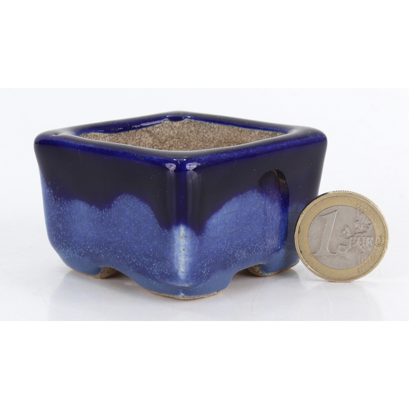 Bonsai pot JTA8783 TERAHATA SATOMI