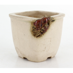 Bonsai pot JTA8782 ICHINOKURA SEKISYU