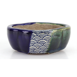 Bonsai pot JTA8798 TERAHATA SATOMI