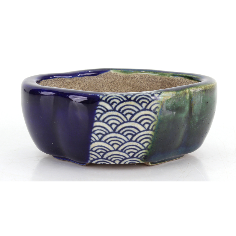 Bonsai pot JTA8798 TERAHATA SATOMI