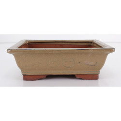 Bonsai pot GAS121-21