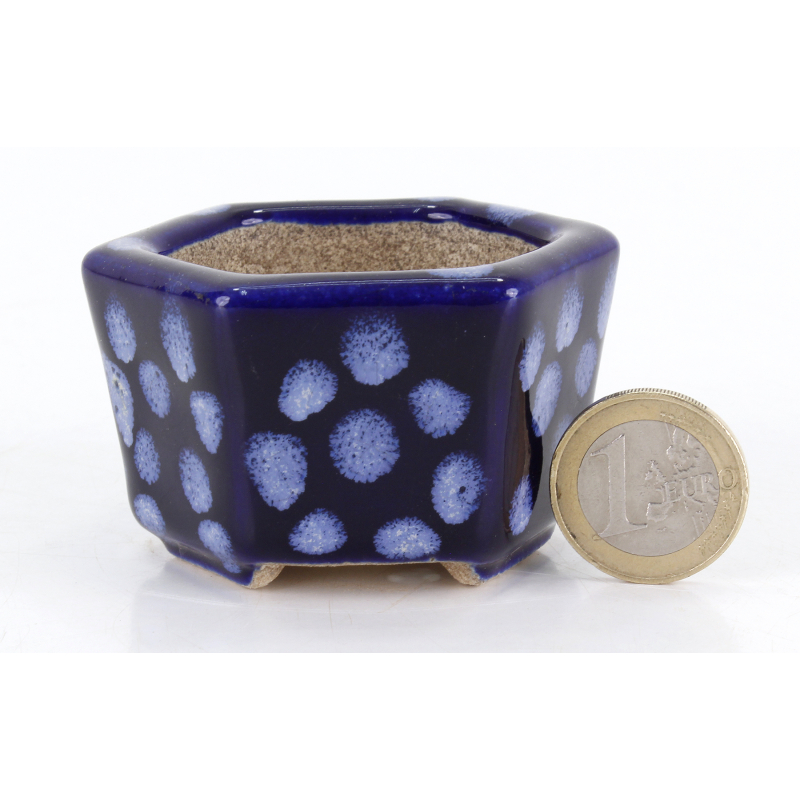 Bonsai pot JTA8790 TERAHATA SATOMI