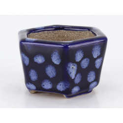 Bonsai pot JTA8790 TERAHATA SATOMI view 2
