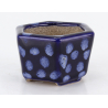 Bonsai pot JTA8790 TERAHATA SATOMI view 2