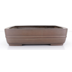 Bonsai pot JTA8768 EIRAKU