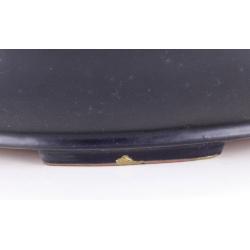 Bonsai pot JTA8777 SEIZAN REIHOU view 4