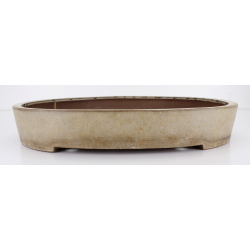 Bonsai pot JTA8775 HARUMATSU MIZUNO