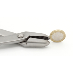 Alicate inox T-Rex 210 mm vista 2