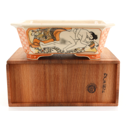 Bonsai pot, Kamereon, Nuria Rodríguez, Tony Amago, Pasión por la cerámica, Shunga, Okumura Masanobu