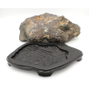 Suiseki 226 chrysanthemum stone view 4