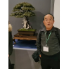 Juniperus rigida I-8746 vista 10