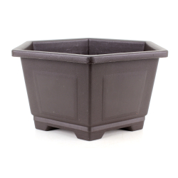 Maceta cultivo para bonsái TWCA-07
