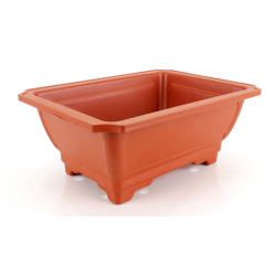 Maceta cultivo para bonsái TWB9-8R vista 2