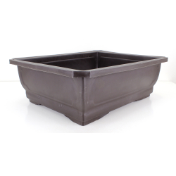 Maceta cultivo para bonsái TWB9-25N vista 2