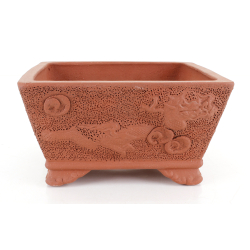 Bonsai pot JTA8854 IZUMI-YA DRAGÓN view 2