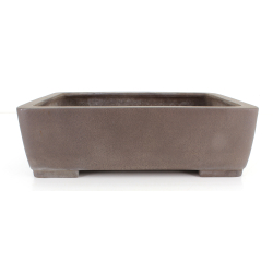 Bonsai pot JTA8871 YAMAAKI TOSHIO