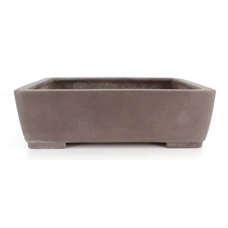 Maceta bonsái JTA8871 YAMAAKI TOSHIO