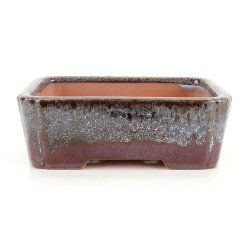 Bonsai pot FCH259 SHIWAN XENJI