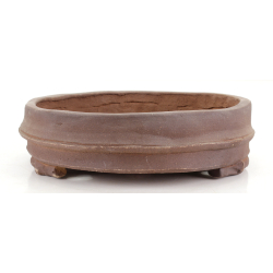 Maceta bonsái JTA8855 IZUMI-YA YAE