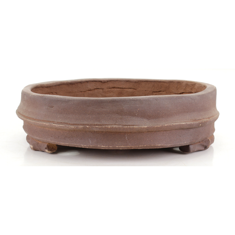 Maceta bonsái JTA8855 IZUMI-YA YAE