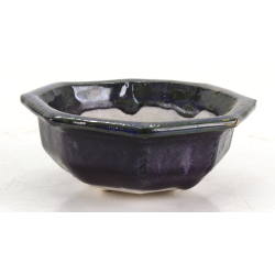Bonsai pot JTA8710 AKIRA SHOUZAN JUKOSAN