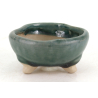 Bonsai pot JTA8752 TOSUI MASAO