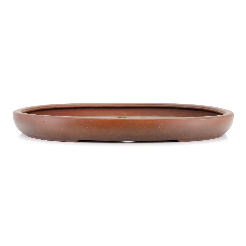 Maceta bonsái JTA8844 TOZUI GAMA