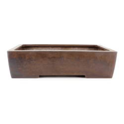 Maceta bonsái JTA8848 KATAOKA