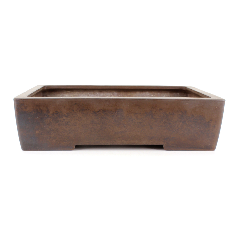 Bonsai pot JTA8848 KATAOKA