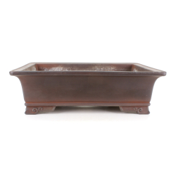 Maceta bonsái JTA8873 HOUSEI SOUIN