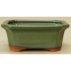 Bonsai pot GAS061-13V